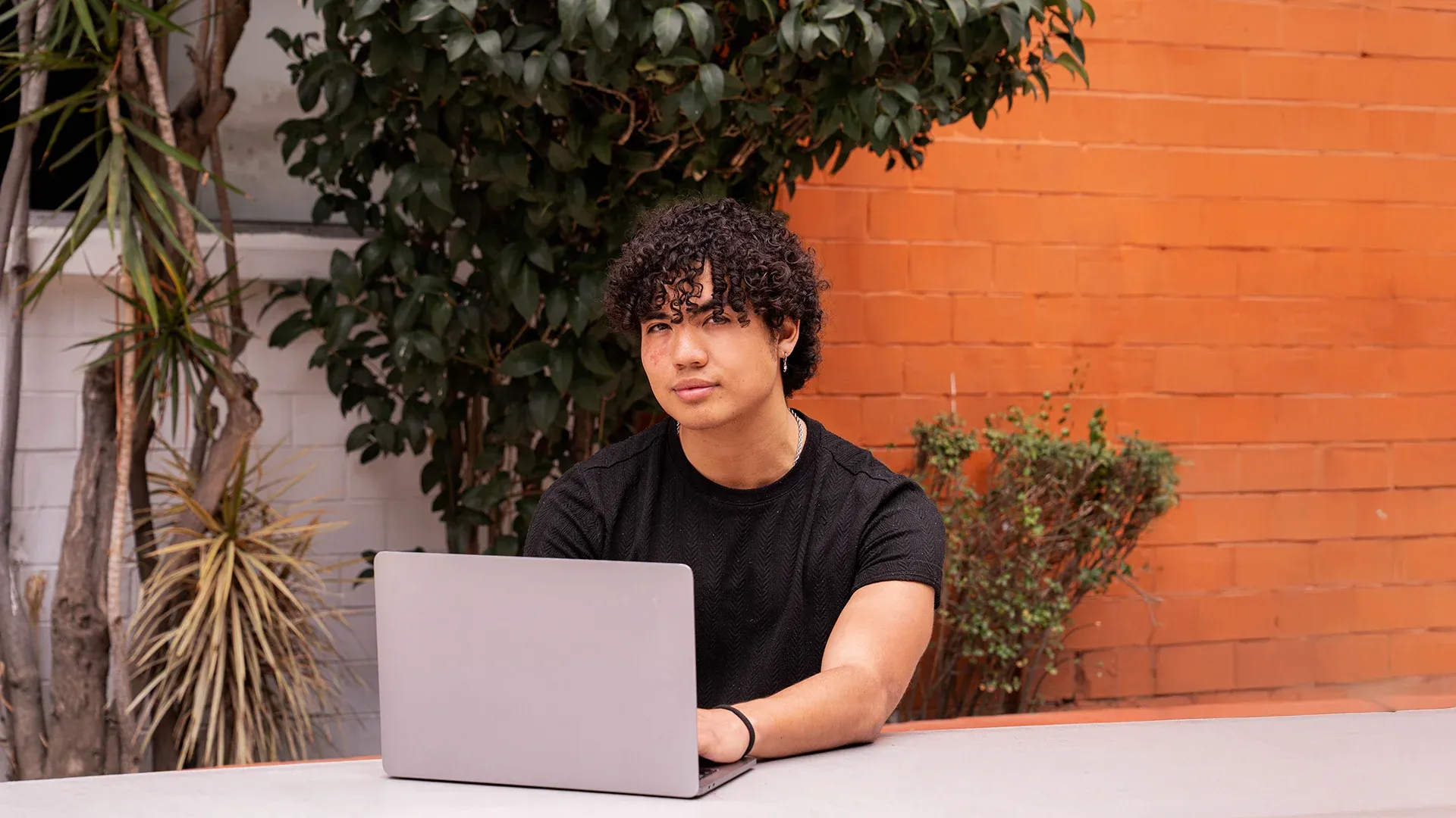 Licenciatura en Ingeniería en Desarrollo de Software