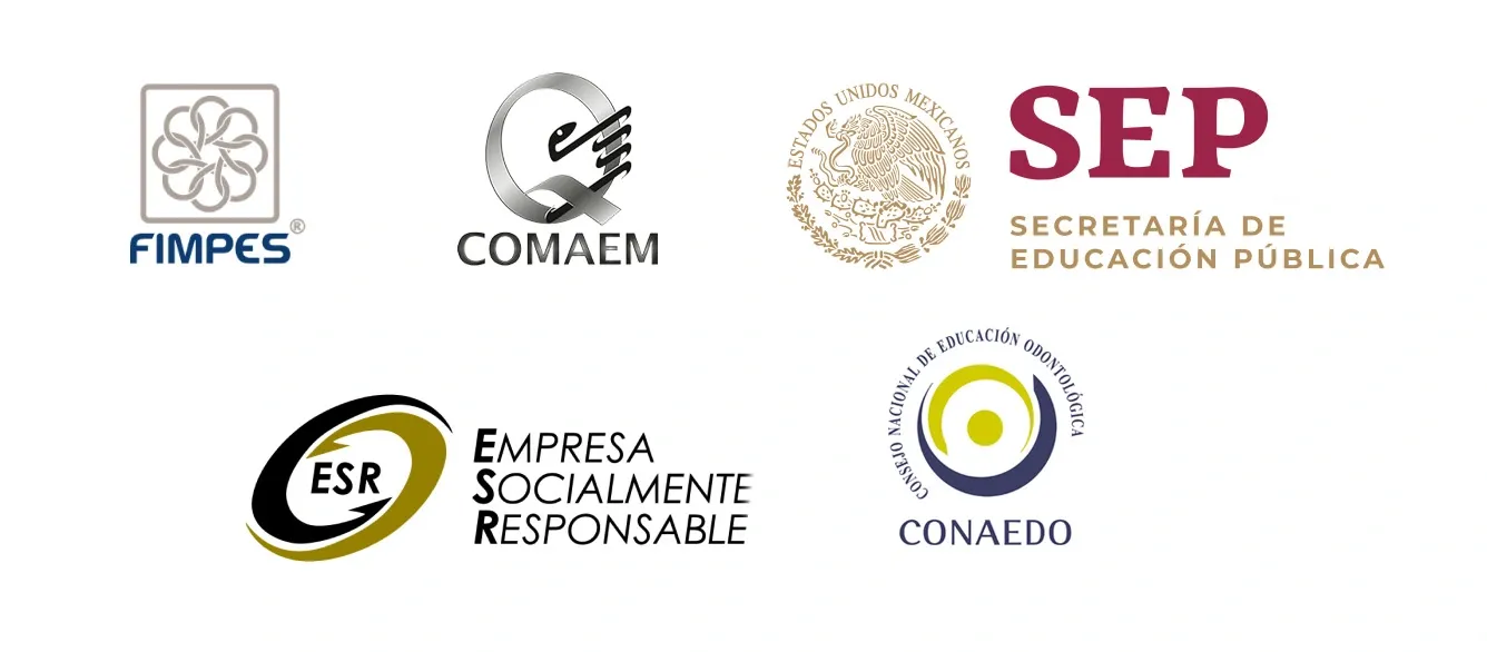 Ilustración para: Docentes con experiencia real en la industria